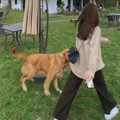甜甜圈之王